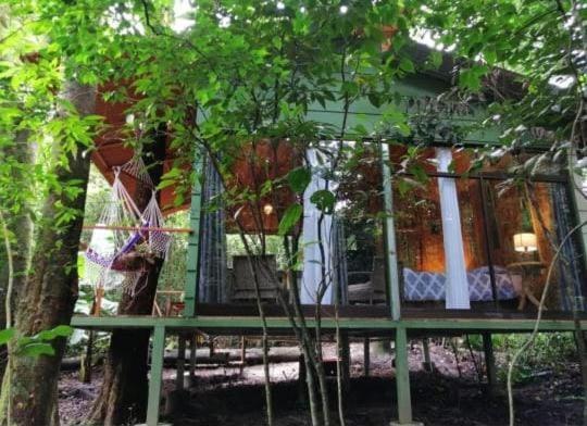 Tree Houses Bosque Nuboso Monteverde 外观 照片