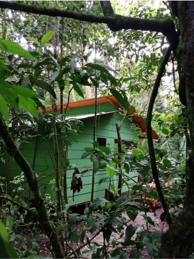 Tree Houses Bosque Nuboso Monteverde 外观 照片